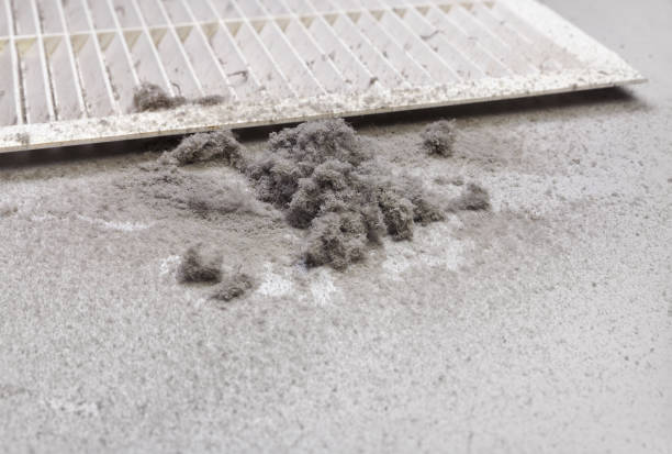 Best Professional Duct Cleaning Services  in Greenhills, OH